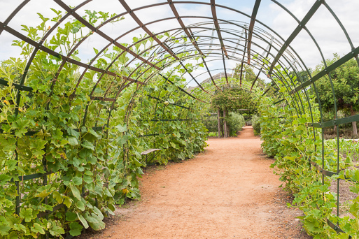 Babylonstoren Garden Tunnel